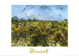 Champs de vigne Posters par Vincent van Gogh
