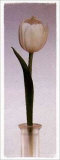 Tulipe Poster par Dick & Diane Stefanich