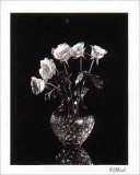 Roses dramatiques Posters par Mark Polomchak