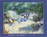 Olivenbäume Kunstdrucke von Vincent van Gogh
