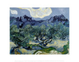 Landscape with Olive Trees Prints by Vincent van Gogh