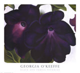 Svarta och lila petunior (Black and Purple Petunias) Konst av Georgia O'Keeffe Svarta och lila petunior (Black and Purple Petunias) Konst av Georgia O'Keeffe