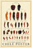 The Great Chile Poster (dried) Prints by Elliot Miller