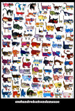 100 Cats and a Mouse Plakater af Vittorio 100 Cats and a Mouse Plakater af Vittorio