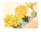 Cactus amarillo Lámina por Georgia O'Keeffe