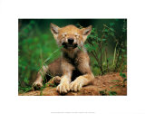 Simple Pleasures Poster by Art Wolfe
