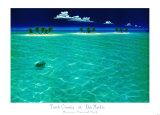 Tortuga cruzando Láminas por Dan Mackin