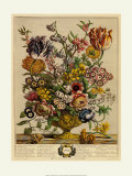 Robert Furber - Duben Obrazy Robert Furber - Duben Obrazy
