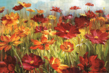 Cosmos in the Field Art par Danhui Nai