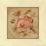 Pale Pink Rose on Antique Linen Prints by Cheri Blum