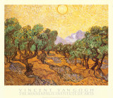 Olive Trees, c.1889  Print by Vincent van Gogh