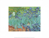 Iris Kunst von Vincent van Gogh