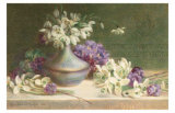 Campanillas de invierno y violetas Láminas por M. V. Morgan