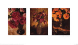 Les couleurs des roses II Affiches par Thea Schrack