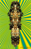 A Wiser Bud Prints