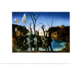 Cygnes reflétant des éléphants, vers 1937 Affiches par Salvador Dalí