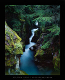 Avalanche Creek Prints by William Neill