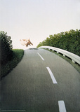 Autobahn Pig Prints by Michael Sowa