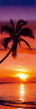 Palma al tramonto Poster Palma al tramonto Poster
