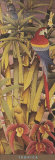 Tropica I Art par Kevin McPherrin