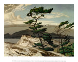 Kiefer Kunstdrucke von A. J. Casson
