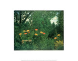 Exotic Landscape Kunstdrucke von Henri Rousseau