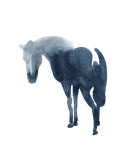 Caballo chino Pósters por Aurore De La Morinerie Caballo chino Pósters por Aurore De La Morinerie