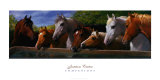 Compagnons Posters par Jenness Cortez