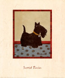 Scottish Terrier Plakater av Lanny Barnard
