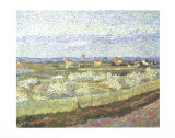 Peach Blossoms in the Crau, c.1889 Posters by Vincent van Gogh