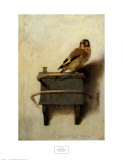 The Goldfinch, c.1654 Affiches par Carel Fabritius