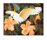 Cockatoo and Hibiscus Poster av Jessie Arms Botke Cockatoo and Hibiscus Poster av Jessie Arms Botke