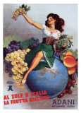 Adani Fruits Posters