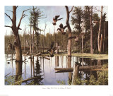 Summer Refuge, Wood Ducks Print by Anthony J. Rudisill