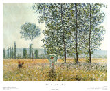 Fields in Spring, 1884 Prints by Claude Monet