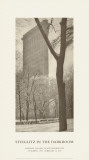 Flatiron Building Prints by Alfred Stieglitz
