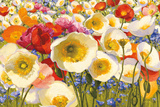Shirley Novak - Sunny Abundance Plakát Shirley Novak - Sunny Abundance Plakát