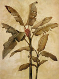 Palms of the Tropics I Art by Jill Deveraux Palms of the Tropics I Art by Jill Deveraux