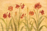 Row of Red Amaryllis Print van Cheri Blum Row of Red Amaryllis Print van Cheri Blum