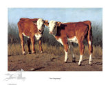 New Beginnings (LE) Limited Edition by Adeline Halvorson