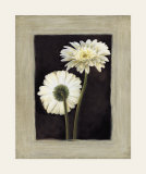 Flora II Prints by Andrea Trivelli Flora II Prints by Andrea Trivelli