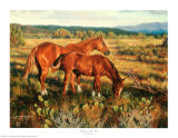 Alazanes al sol (pequeño) Pósters por Tim Cox Alazanes al sol (pequeño) Pósters por Tim Cox