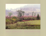 Dreamscapes-Morning Meadow Láminas por Nick Zungoli