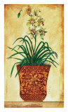 Une orchidée Affiches par Merri Pattinian