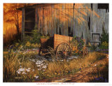 Abandoned Beauty Prints by Michael Humphries