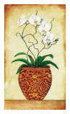 Orchidée à plusieurs tiges Affiches par Merri Pattinian