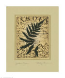 Garden Fern Art by Betsy Bauer