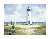 Henry's Walk Prints by Ray Ellis
