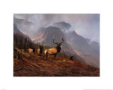 Bookcliffs Elk I Poster by Michael Coleman
