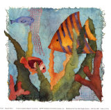 Tropical Fish I Prints by Linn Done